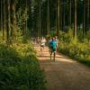 pferd-werkzeuge-lauf-06-2017 (349)