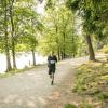 pferd-werkzeuge-lauf-06-2017 (424)