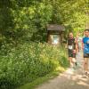 pferd-werkzeuge-lauf-06-2017 (293)