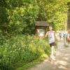 pferd-werkzeuge-lauf-06-2017 (290)