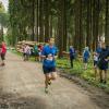 pferd-werkzeuge-lauf-06-2017 (693)