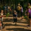 pferd-werkzeuge-lauf-06-2017 (99)