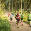 pferd-werkzeuge-lauf-06-2017 (368)