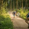 pferd-werkzeuge-lauf-06-2017 (356)
