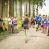 pferd-werkzeuge-lauf-06-2017 (571)