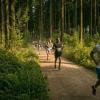 pferd-werkzeuge-lauf-06-2017 (353)