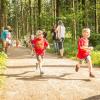 pferd-werkzeuge-lauf-06-2017 (39)