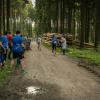 pferd-werkzeuge-lauf-06-2017 (582)