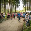 pferd-werkzeuge-lauf-06-2017 (556)