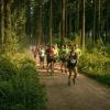 pferd-werkzeuge-lauf-06-2017 (367)