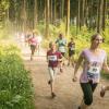 pferd-werkzeuge-lauf-06-2017 (384)