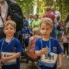 pferd-werkzeuge-lauf-06-2017 (214)