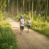 pferd-werkzeuge-lauf-06-2017 (408)