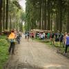 pferd-werkzeuge-lauf-06-2017 (611)