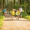 pferd-werkzeuge-lauf-06-2017 (21)