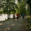 pferd-werkzeuge-lauf-06-2017 (486)