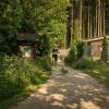 pferd-werkzeuge-lauf-06-2017 (254)