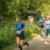 pferd-werkzeuge-lauf-06-2017 (327)
