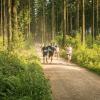 pferd-werkzeuge-lauf-06-2017 (360)