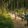 pferd-werkzeuge-lauf-06-2017 (351)
