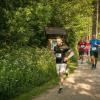 pferd-werkzeuge-lauf-06-2017 (307)