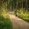 pferd-werkzeuge-lauf-06-2017 (364)