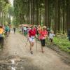 pferd-werkzeuge-lauf-06-2017 (636)
