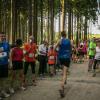 pferd-werkzeuge-lauf-06-2017 (610)