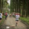 pferd-werkzeuge-lauf-06-2017 (675)