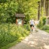 pferd-werkzeuge-lauf-06-2017 (258)