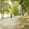 pferd-werkzeuge-lauf-06-2017 (516)