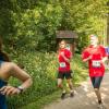 pferd-werkzeuge-lauf-06-2017 (310)