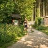 pferd-werkzeuge-lauf-06-2017 (255)