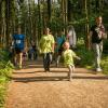 pferd-werkzeuge-lauf-06-2017 (76)