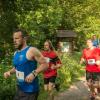 pferd-werkzeuge-lauf-06-2017 (288)