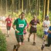 pferd-werkzeuge-lauf-06-2017 (399)