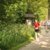 pferd-werkzeuge-lauf-06-2017 (316)