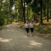 pferd-werkzeuge-lauf-06-2017 (417)