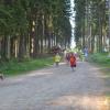 thumb DSC 0817 1024