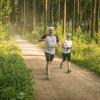 pferd-werkzeuge-lauf-06-2017 (409)