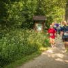 pferd-werkzeuge-lauf-06-2017 (323)