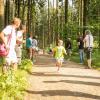pferd-werkzeuge-lauf-06-2017 (11)