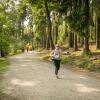 pferd-werkzeuge-lauf-06-2017 (413)