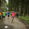 pferd-werkzeuge-lauf-06-2017 (649)