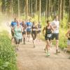 pferd-werkzeuge-lauf-06-2017 (392)
