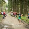 pferd-werkzeuge-lauf-06-2017 (670)
