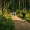 pferd-werkzeuge-lauf-06-2017 (348)