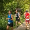 pferd-werkzeuge-lauf-06-2017 (282)