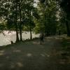 pferd-werkzeuge-lauf-06-2017 (533)