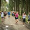 pferd-werkzeuge-lauf-06-2017 (677)